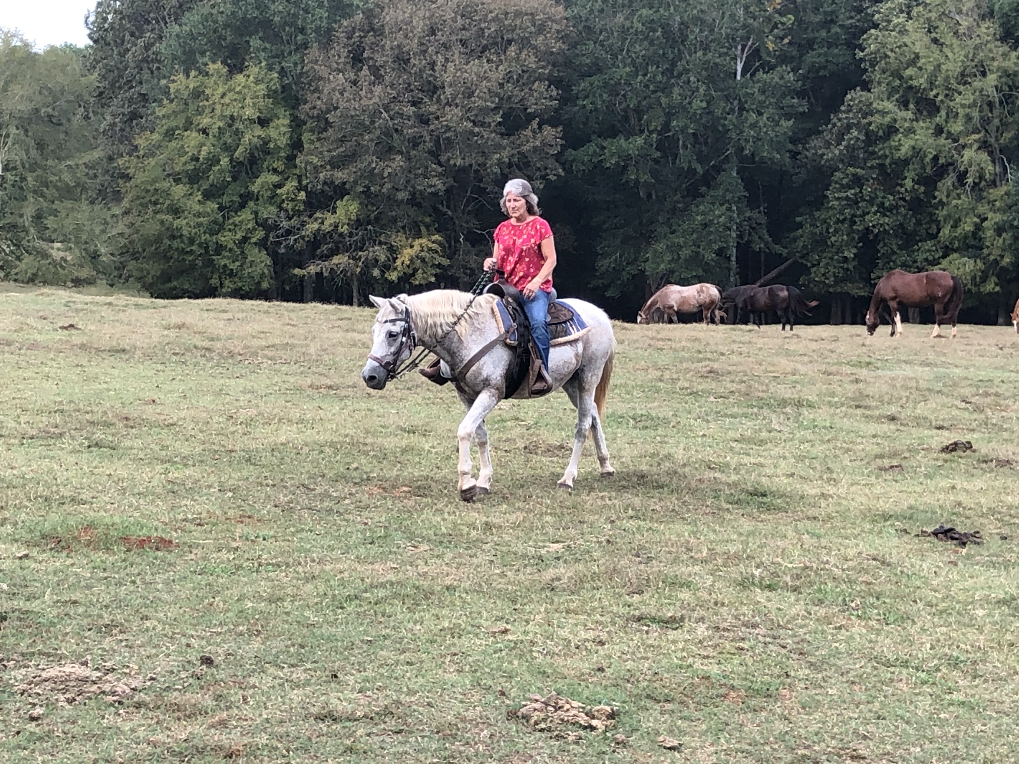 ./2021/07 - Southern Cross/IMG_4021.JPG